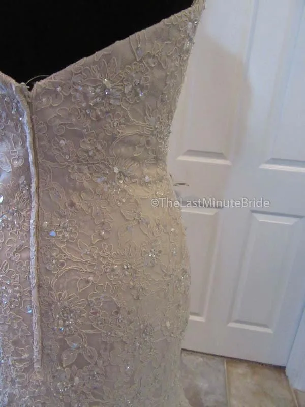 Bonny 8500 size 6