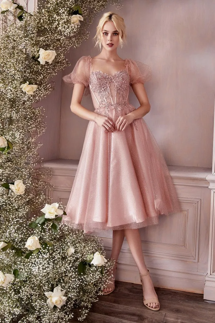 Ladivine Dress CD0187