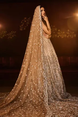 Pakistani  Gown Long Tail in Golden Dress