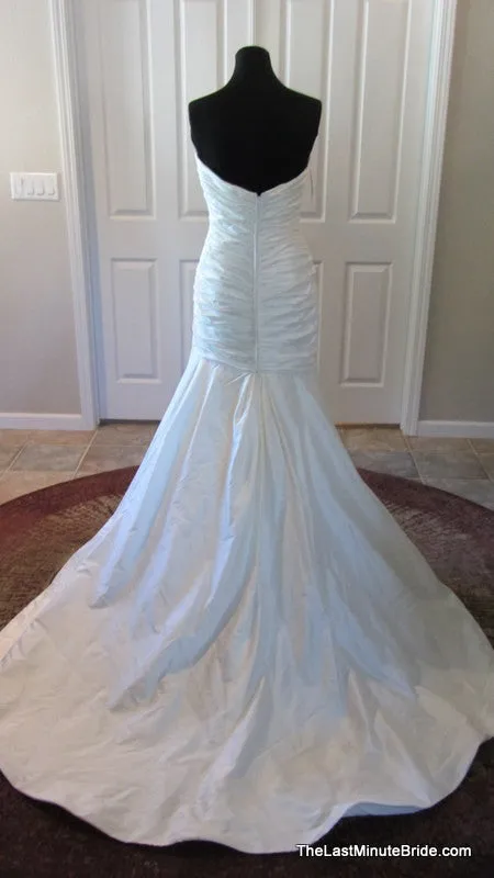 Paloma Blanca 4054